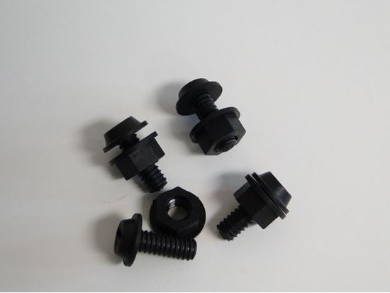 Picture of Nylon License Bolt Kit, 4Pc Nut & Bolt.